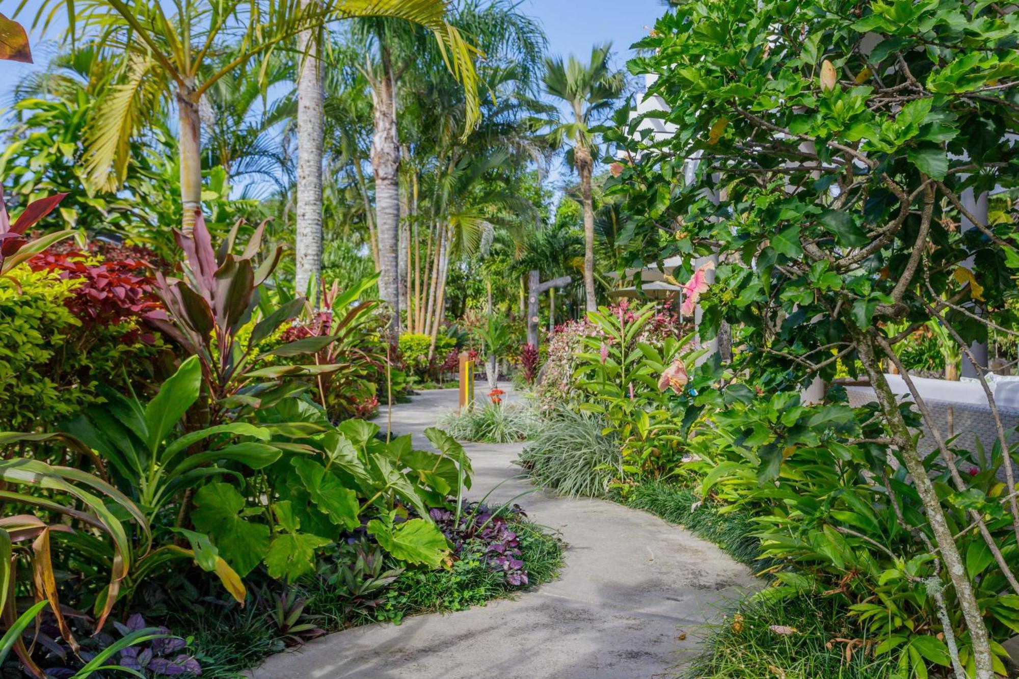 Rarotonga Daydreamer Escape Exterior foto